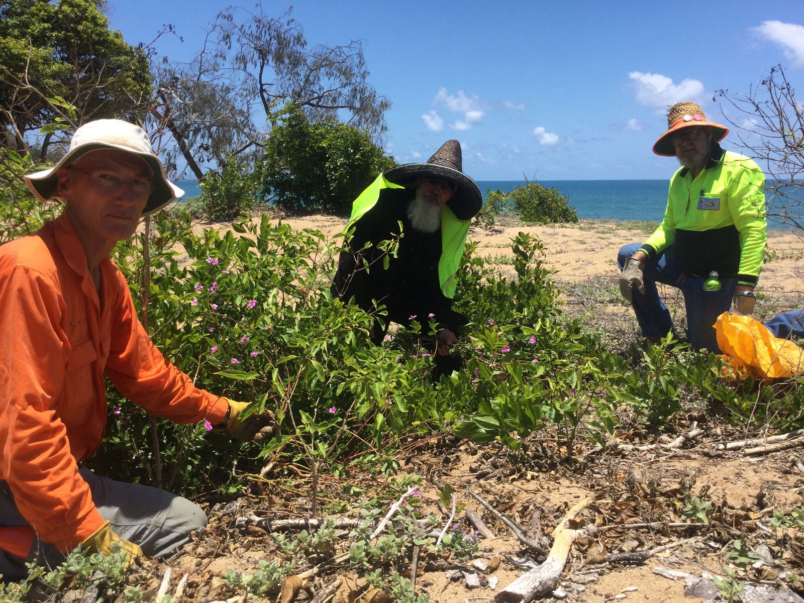 Conservation Volunteers Australia Townsville - Beach Scrub Conservation Logo and Images