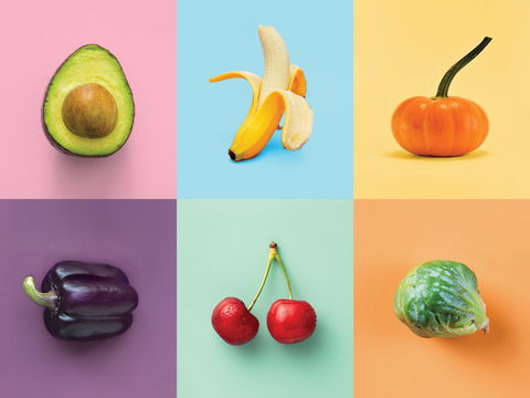 Food For Thought: Alternative Food Sources - E Caravan Parks 0