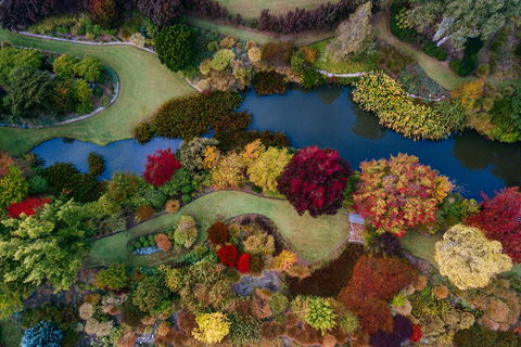 Glenrock Gardens Open Garden - Accommodation Broken Hill 0