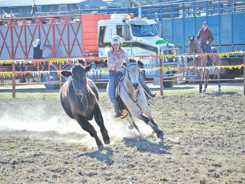 Gresford  Campdraft And Rodeo - Whitsundays Tourism 0