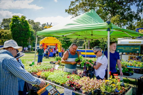 Huskisson Market - Tourism Bookings 0