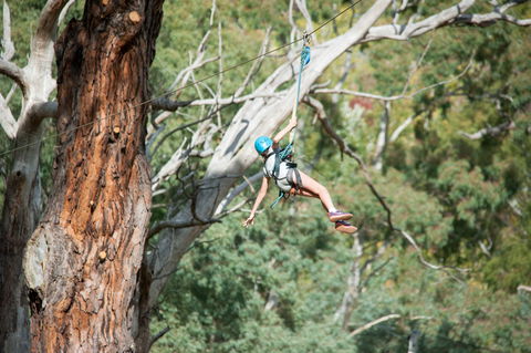 July 2020 Holidays- Go Wild At The Mt Lofty Adventure Hub - Hobart Tourism 1