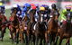 Melbourne Cup Lunch Cruise With Vagabond Cruises - thumb 1