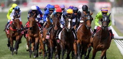 Melbourne Cup Lunch Cruise With Vagabond Cruises - Accommodation Hamilton Island 1