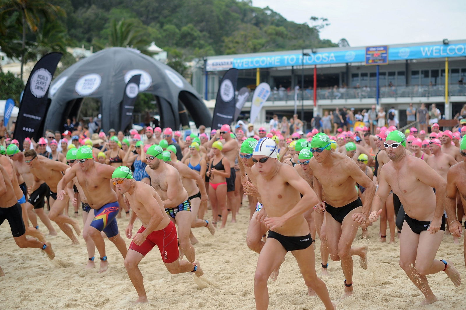 Noosa Summer Swim Festival 2021 Logo and Images