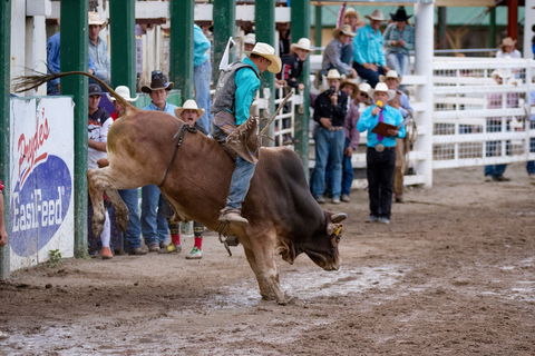 Warwick Rodeo National APRA National Finals And Warwick Gold Cup Campdraft - Cruises Travel 1