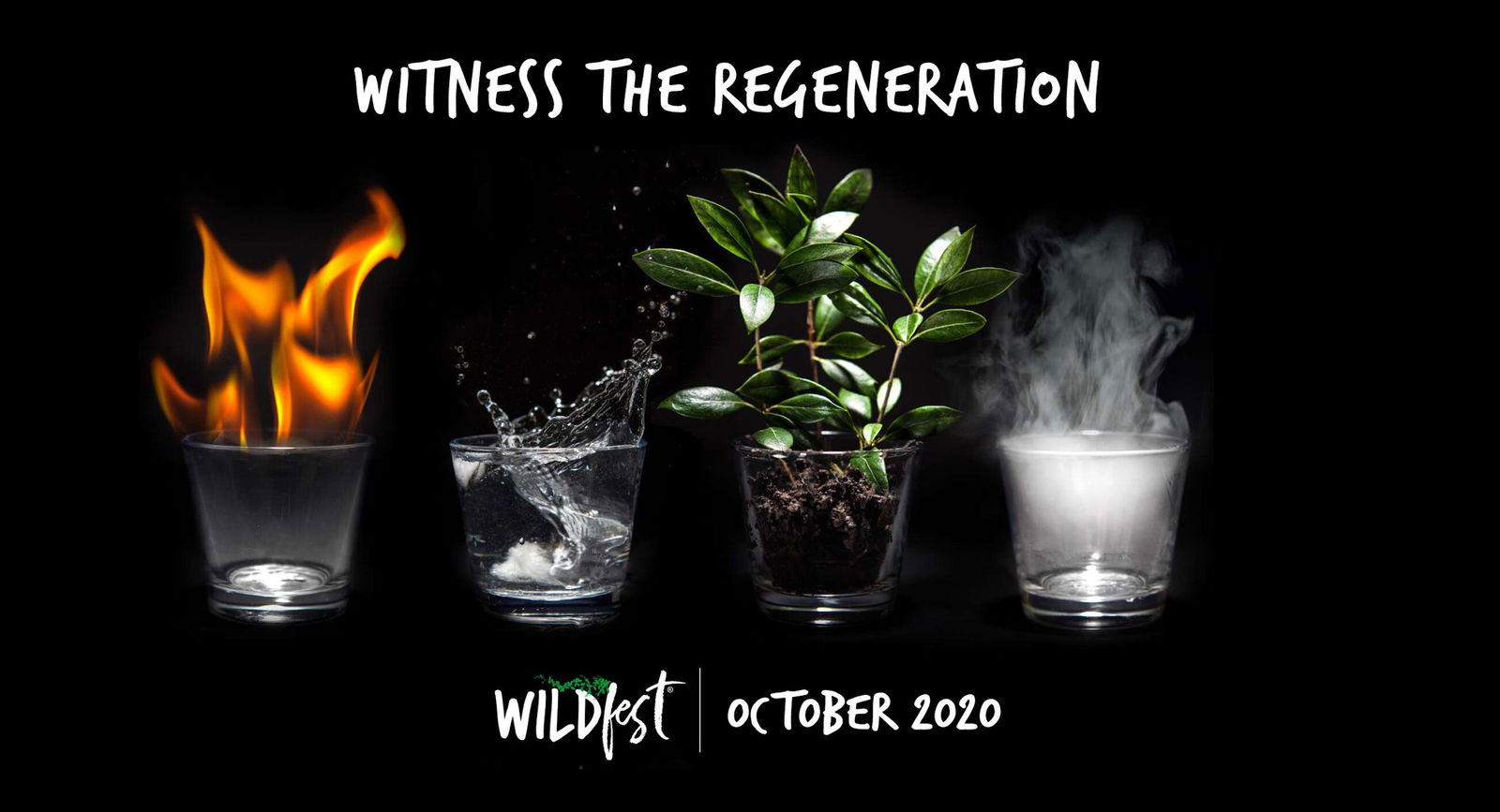 Wildfest - Annual Festival