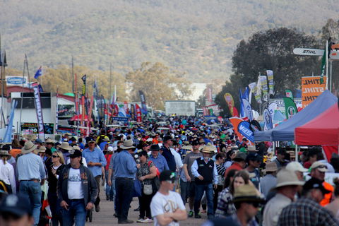 AgQuip - Bundaberg Accommodation 1