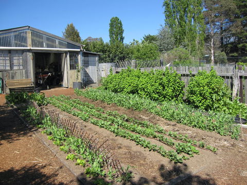 All Season Cold Climate Organic Vegetable Growing - Hobart Tourism 1