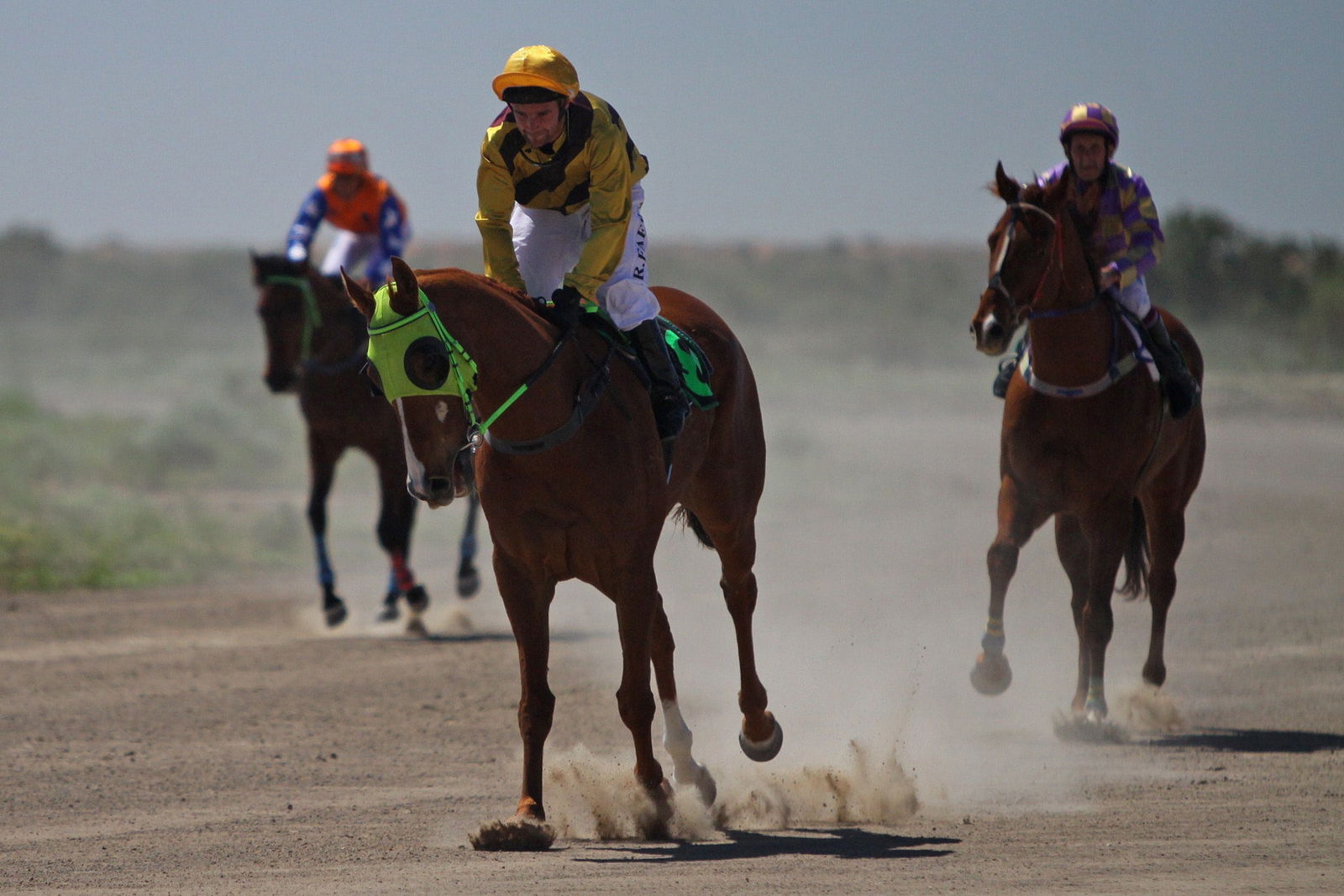 Bedourie Races and Rodeo Logo and Images
