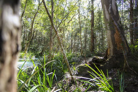 Bottlebutt Bash Trail Run - Bundaberg Accommodation 0