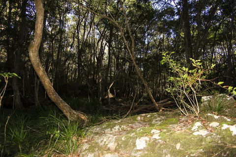 Bottlebutt Bash Trail Run - Bundaberg Accommodation 1