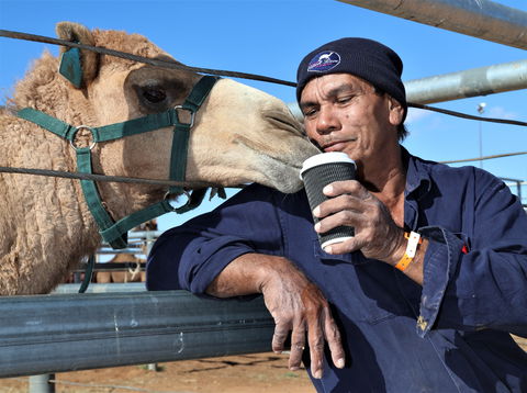 Boulia Camel Races - WA Accommodation 2