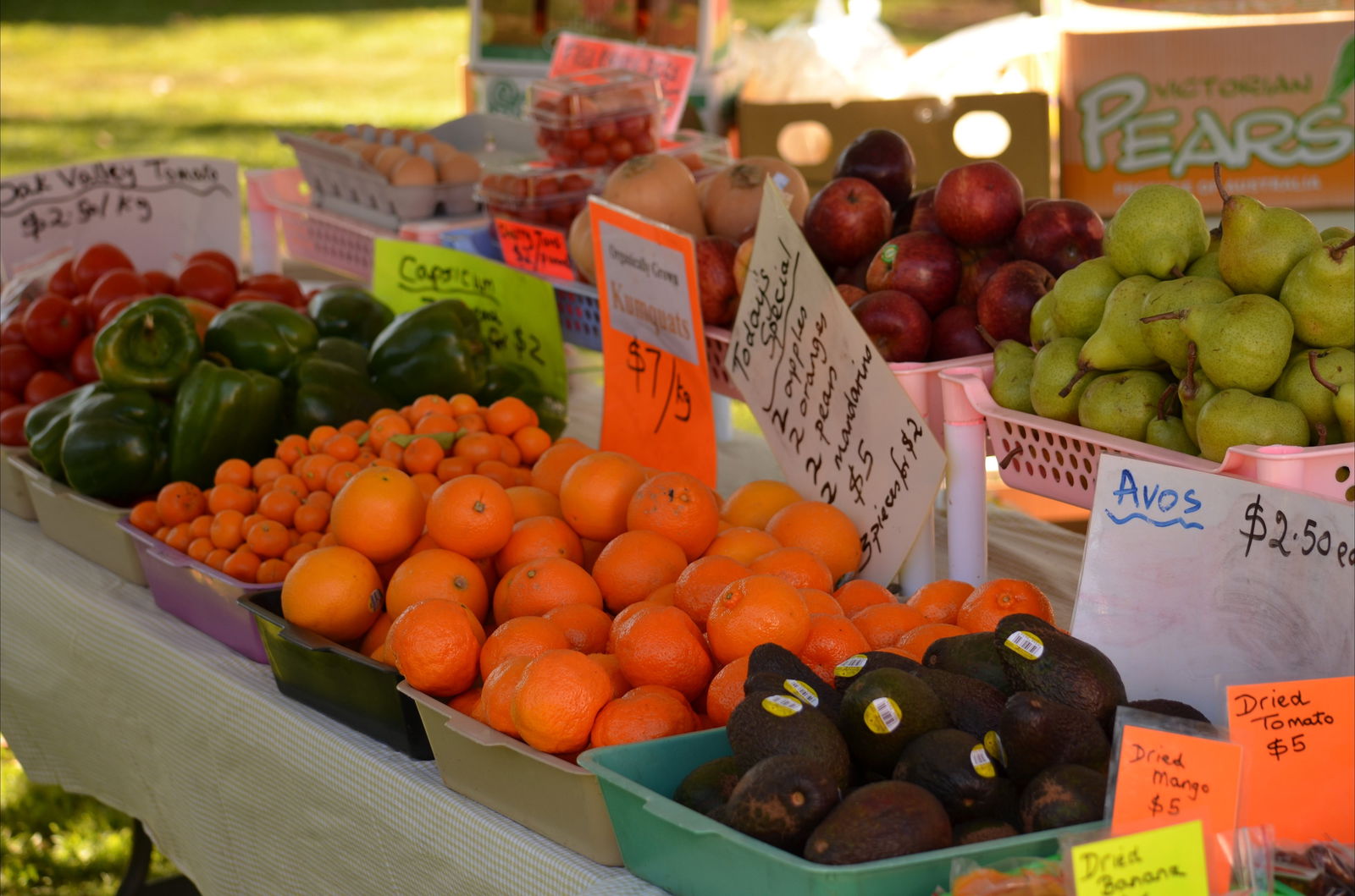 Surbiton QLD Tourism Listing