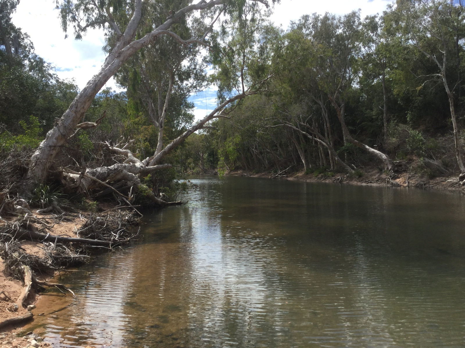 Conservation Volunteers Australia Townsville - Creekwatch Logo and Images