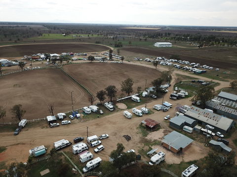 Cotton Capital Country Music Muster - Whitsundays Tourism 2