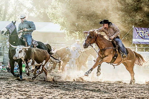 Gundagai Rodeo - Tourism Listing 2