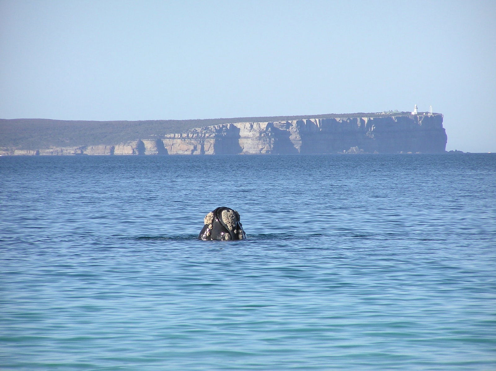Huskisson NSW WA Accommodation