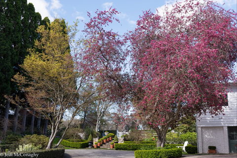 Leura Gardens Festival - Cancelled - Bundaberg Accommodation 0