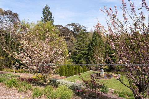 Leura Gardens Festival - Cancelled - Bundaberg Accommodation 2