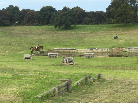 Mount Gambier And District Pony Club Horse Trials 2020 - Casino Accommodation 0
