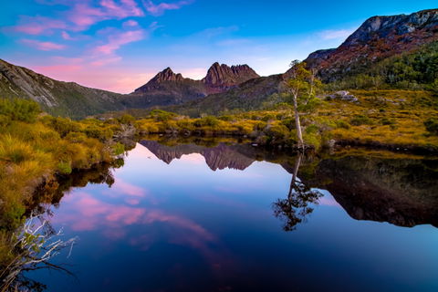 Pfeiffer Wines Photographic Exhibition - Wodonga Albury Camera Club - Carnarvon Accommodation 0