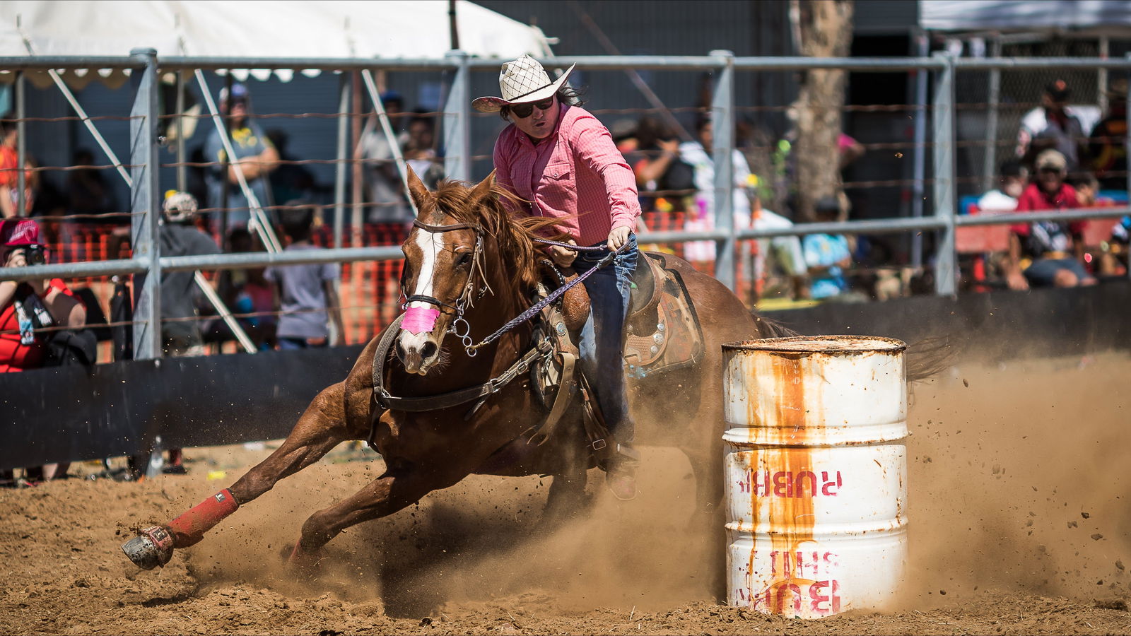 The Gulf Country Frontier Days Festival Logo and Images