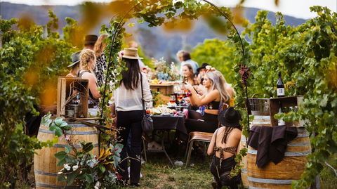 Wine Machine - NEW DATE - Tourism Listing 1