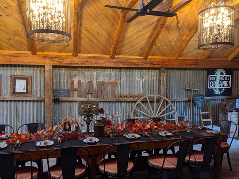 Friday Long Lunch @  Hart Of The Barossa Tasting Shed - Accommodation Broken Hill 0