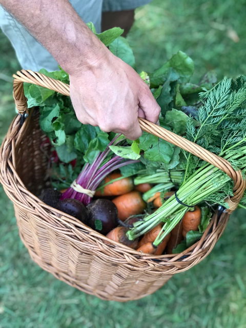 Orange Farmers Market - Caravan Park Accommodation 0