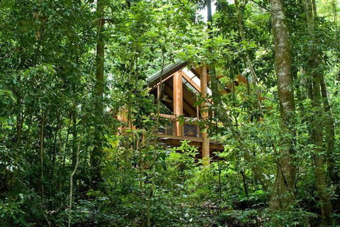 The Canopy Rainforest Treehouses And Wildlife Sanctuary - Accommodation Redcliffe 1