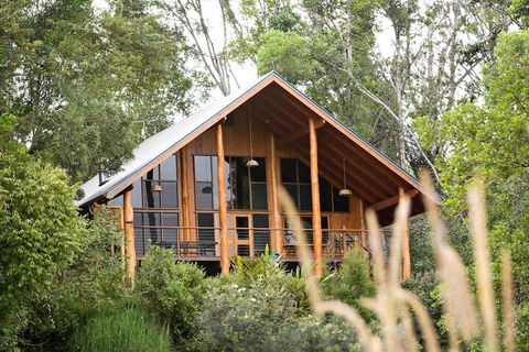 The Canopy Rainforest Treehouses And Wildlife Sanctuary - Accommodation Redcliffe 2