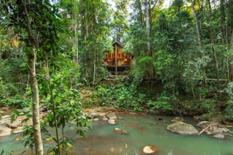 The Canopy Rainforest Treehouses And Wildlife Sanctuary - Accommodation Redcliffe 0