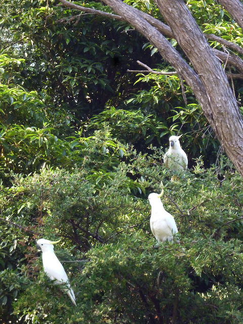 Coachman's Eden - New South Wales Tourism  3