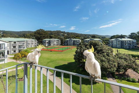Mantra Lorne - Yamba Accommodation 3