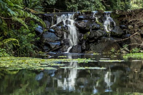 Kondalilla Eco Resort - Brisbane Tourism 0