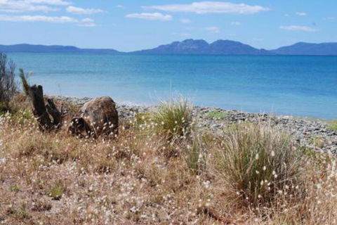 Schouten House - Accommodation QLD 1