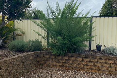 Sunray Motor Inn - Accommodation Newcastle 4