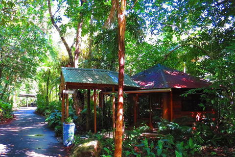 Daintree Rainforest Retreat - Tourism Bookings 3