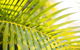 Mercure Townsville - thumb 4