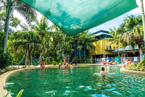 Summer House Backpackers Cairns - Tweed Heads Accommodation 3
