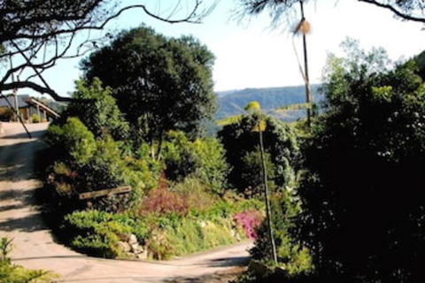 Top Of The Hill - Yamba Accommodation 3