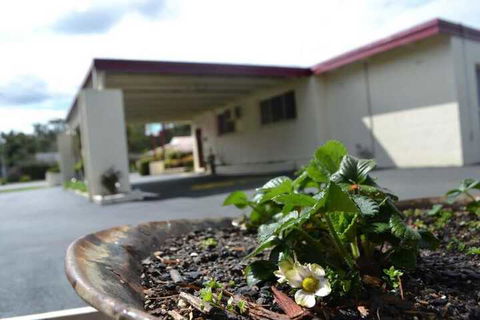 Wattle Motel - Accommodation Sunshine Coast 2