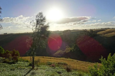 Cobden Crest Cottages - Townsville Tourism 5