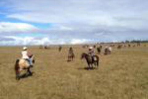 Susan River Homestead - Holiday Adelaide 0