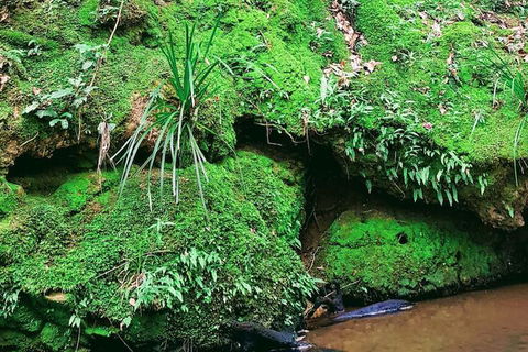 Stokers Lodge - Accommodation QLD 5
