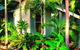 Anbinik Kakadu Resort (formerly Lakeview Park) - thumb 6