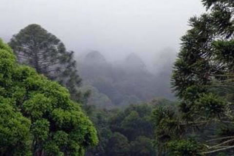 Bunya Mountains Accommodation Centre - Holiday Melbourne 3