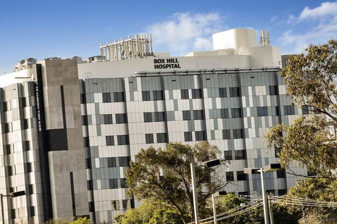 Poplar Sanctuary Apartments - Northern Rivers Accommodation 5