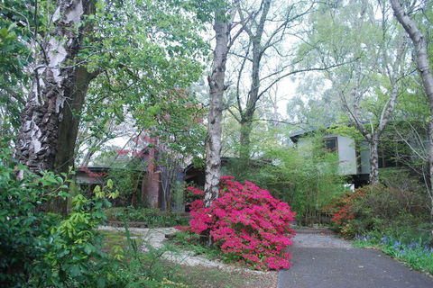 Rocky Creek Art Garden B&B - Hervey Bay Accommodation 5